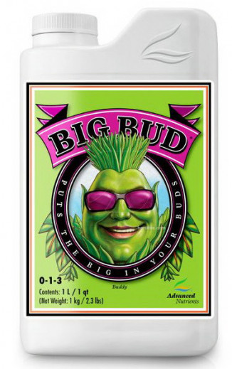 AD BIG BUD