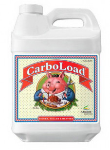 ADVANCED NUTRIENTS CARBOLOAD LÍQUIDO - 1
