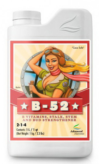 AD B-52