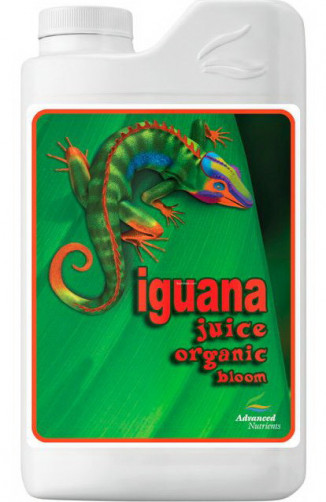 AD ORGANIC IGUANA JUICE BLOOM