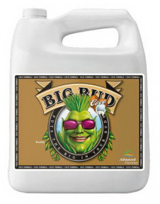 AD BIG BUD COCO LIQUID