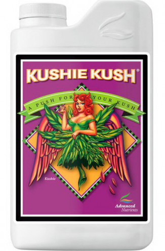 AD KUSHIE KUSH