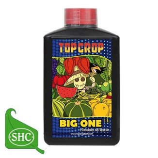 BIG ONE TOP CROP