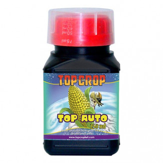 TOP AUTO TOP CROP