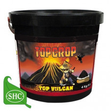 TOP VULCAN TOP CROP