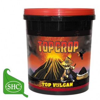 TOP VULCAN TOP CROP