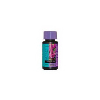 B'CUZZ BLOSSOM BUILDER LIQUID