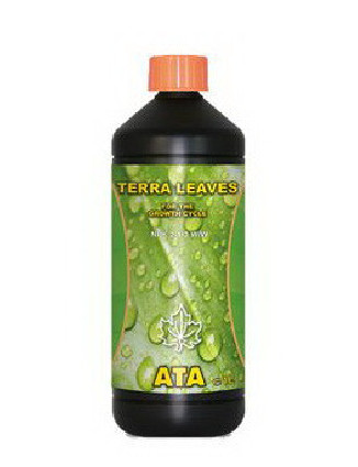 TERRA LEAVES - 1