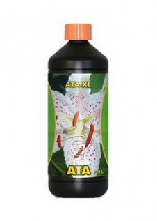 ATA XL - 1
