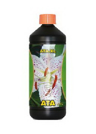 ATA XL - 1