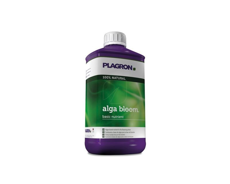 ALGA BLOOM PLAGRON - 1