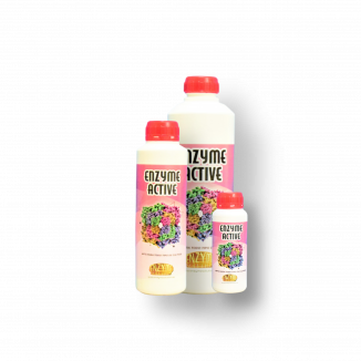 ENZYME ACTIVE