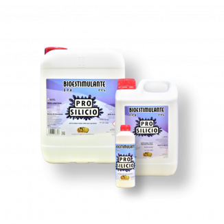 ENZYME PROSILICIO