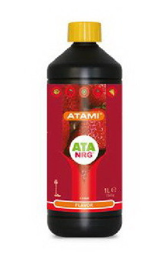 ATA FLAVOR NRG