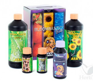 ATA/TERRA BLOOMBASTIC BOX