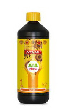 ATA NRG BLOOM C