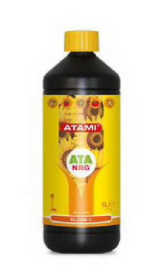 ATA NRG BLOOM C