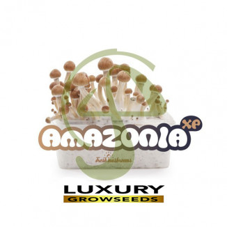 KIT SETAS AMAZONIA 100% MICELIO
