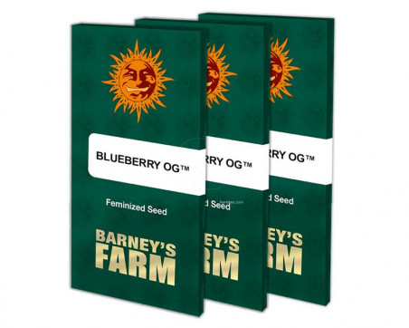 BLUEBERRY OG BARNEY`S FARM SEEDS