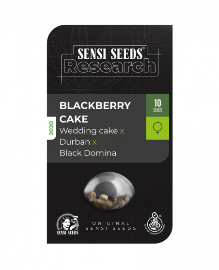 BLACKBERRY CAKE SENSI SEEDS