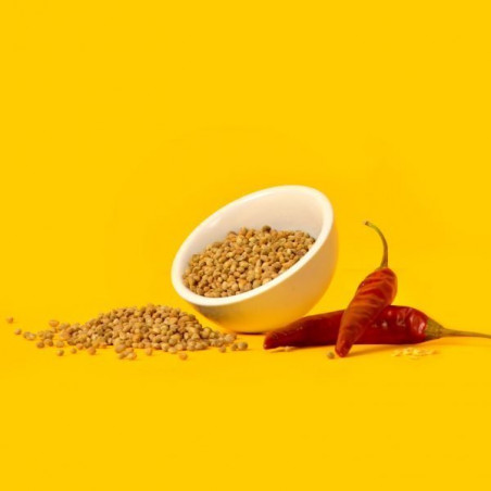 SNACK SPICY  Semillas de canyamo ECO (40gr)