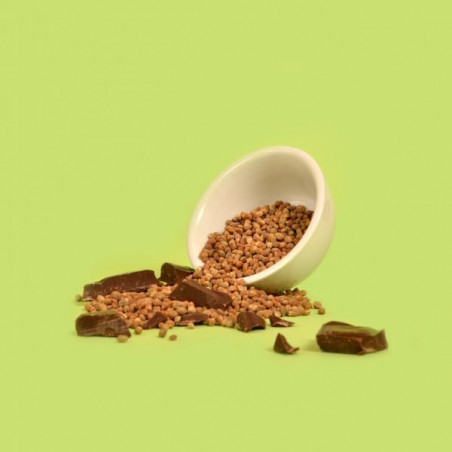 SNACK CHOCO CRISP Semillas de canyamo ECO (40gr)