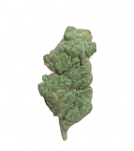 LUXURY GELATO 41 HIDRO