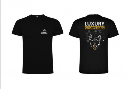 NEW CAMISETA  LGS 2023