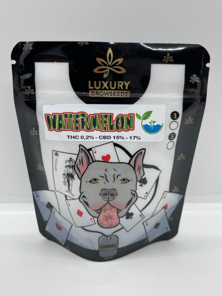 LUXURY WATERMELON HIDRO