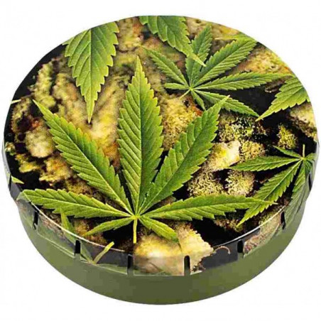 CAJAS CLICK-CLACK 5,5CM BUDS+ LEAVES