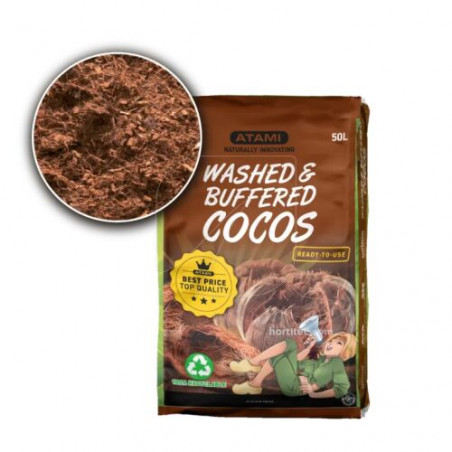 ATAMI WASHED BUFFERED COCOS