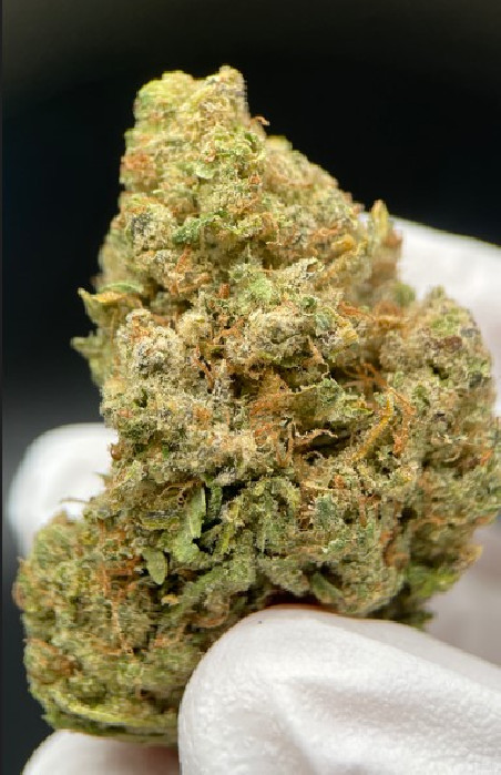 LUXURY NORTHER LIGHT HIDRO