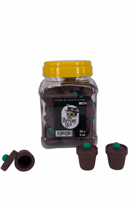 BOTE SILICONA CACTUS 5 ML