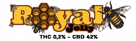 LUXURY HACH ROYAL JELLY 42% CBD 2 GR