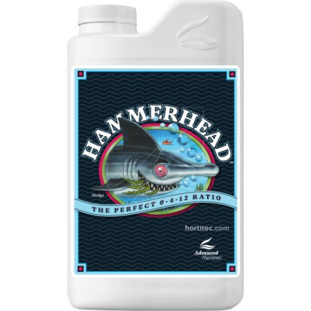 AD HAMMERHEAD