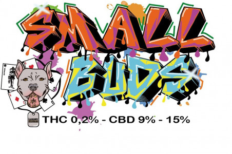 LUXURY SMALL BUDS CHEESE INDOOR