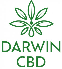 VAPER DARWING CBD 700 PUFFS