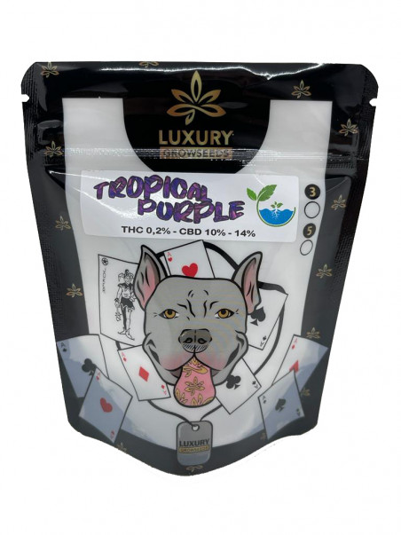 LUXURY TROPICAL PURPLE HIDRO