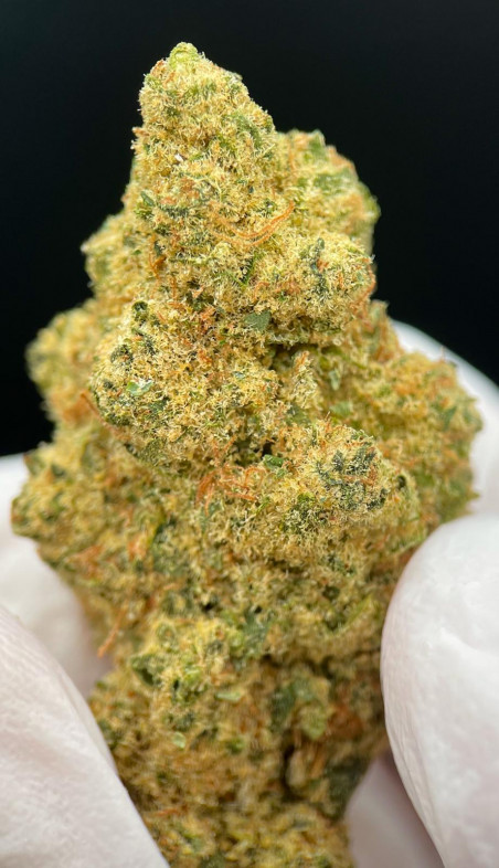 LUXURY L.A KUSH CAKE HIDRO
