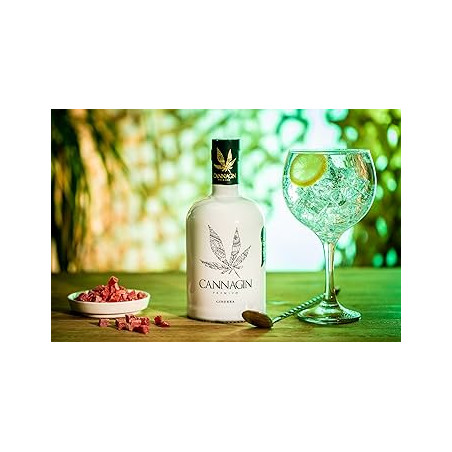 CANNAGIN PREMIUM 70 CL