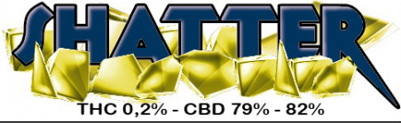 LUXURY SHATTER ROYAL JELLY