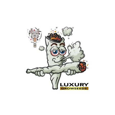 LUXURY ULTIMO PORRILLO
