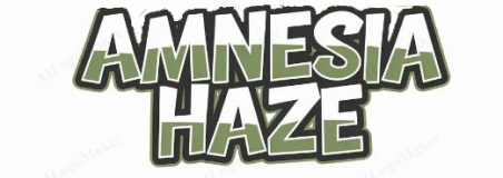 SMALLBUDS AMNESIA HAZE INDOOR