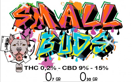 SMALLBUDS AMNESIA HAZE INDOOR