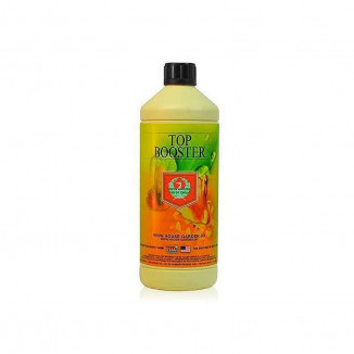 TOP BOOSTER - 1