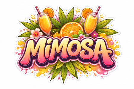 LUXURY SMALL BUDS MIMOSA