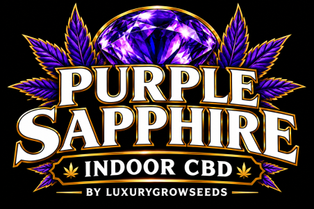 LUXURY SMALLBUDS INDOOR SAPPHIRE PURPLE