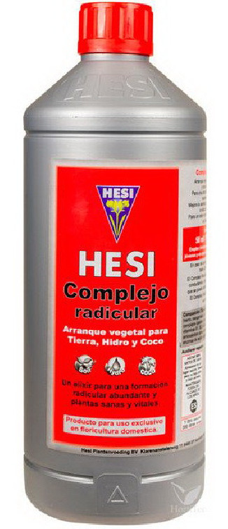 HESI COMPLEJO RADICULAR