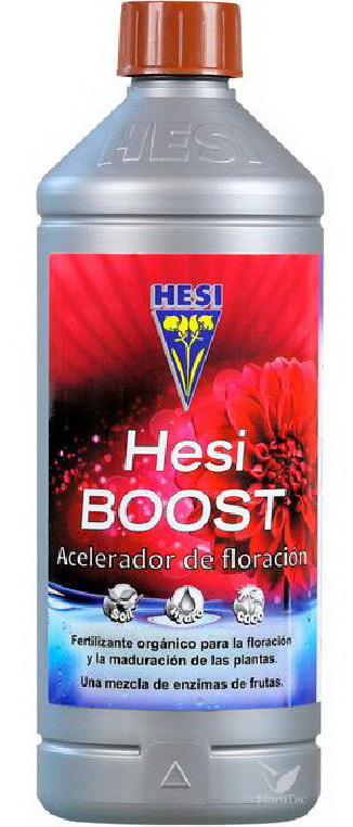HESI BOOST