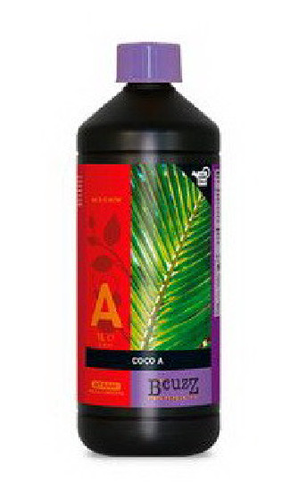 B'CUZZ COCO A+B